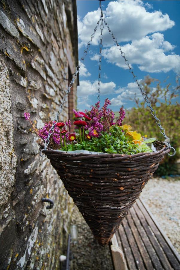 Polrunny Farm Seaberry Cottage With A Sea View And Log Burner Boscastle Exterior photo