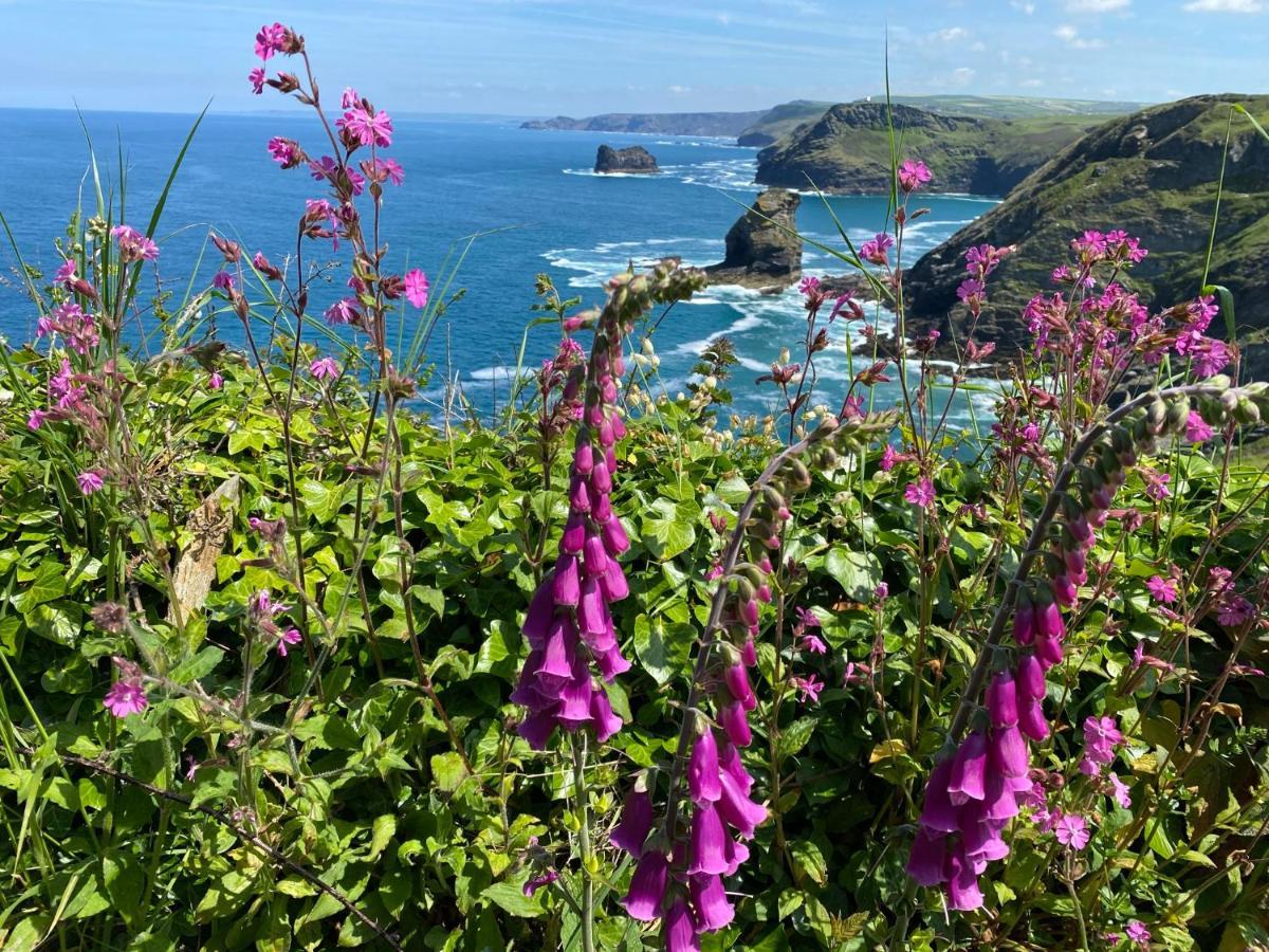 Polrunny Farm Seaberry Cottage With A Sea View And Log Burner Boscastle Exterior photo