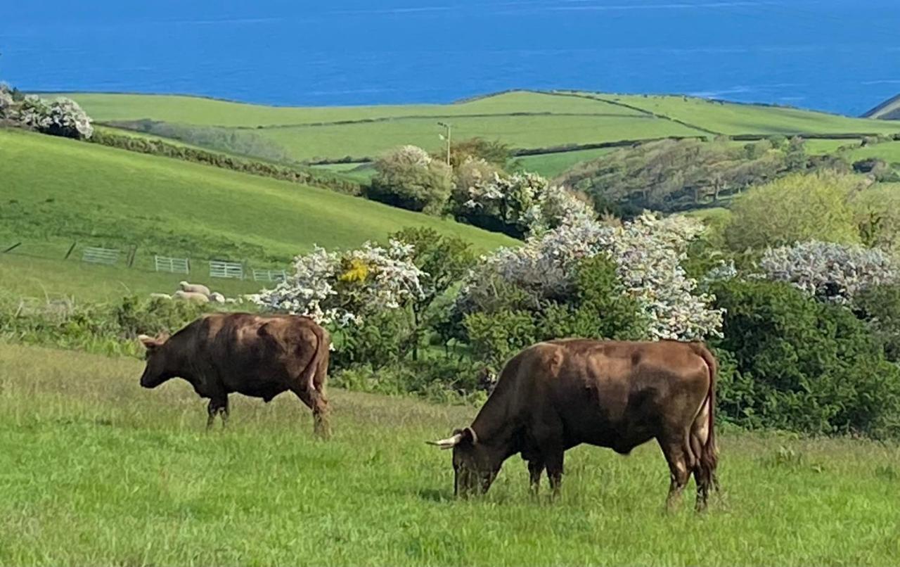 Polrunny Farm Seaberry Cottage With A Sea View And Log Burner Boscastle Exterior photo