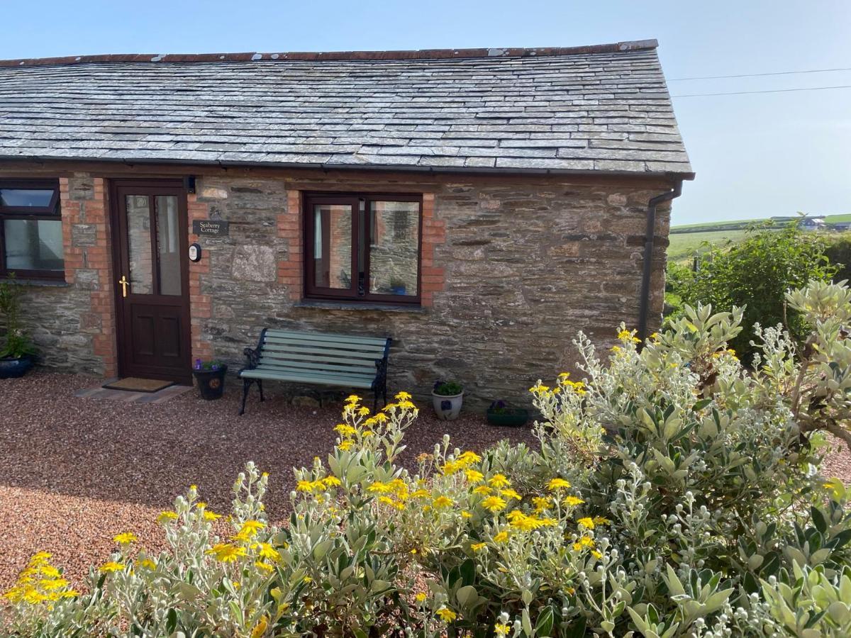 Polrunny Farm Seaberry Cottage With A Sea View And Log Burner Boscastle Exterior photo